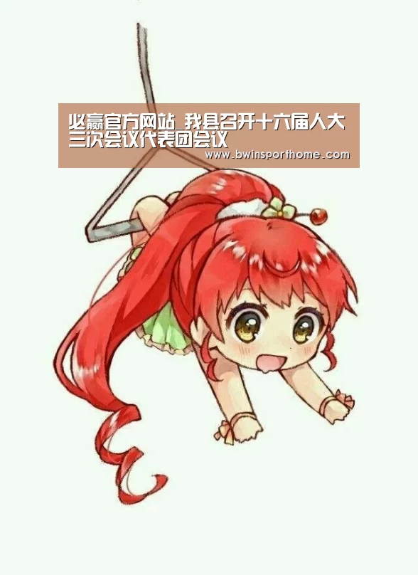 必赢官方网站_我县召开十六届人大三次会议代表团会议(图1) 必赢官网