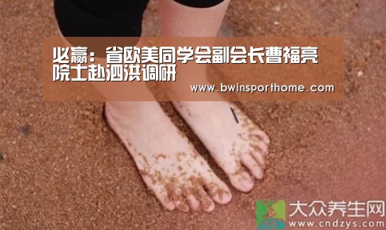 必赢官网