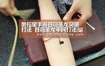 必赢